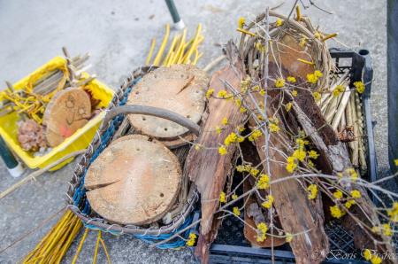 Spuščanje gregorčkov v Rimskih Toplicah 6